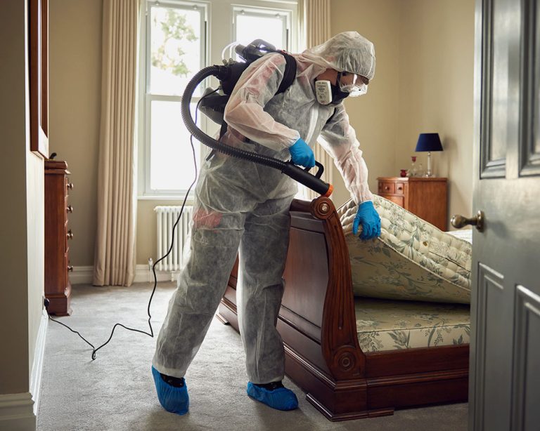 Pimlico engineer fumigating a room